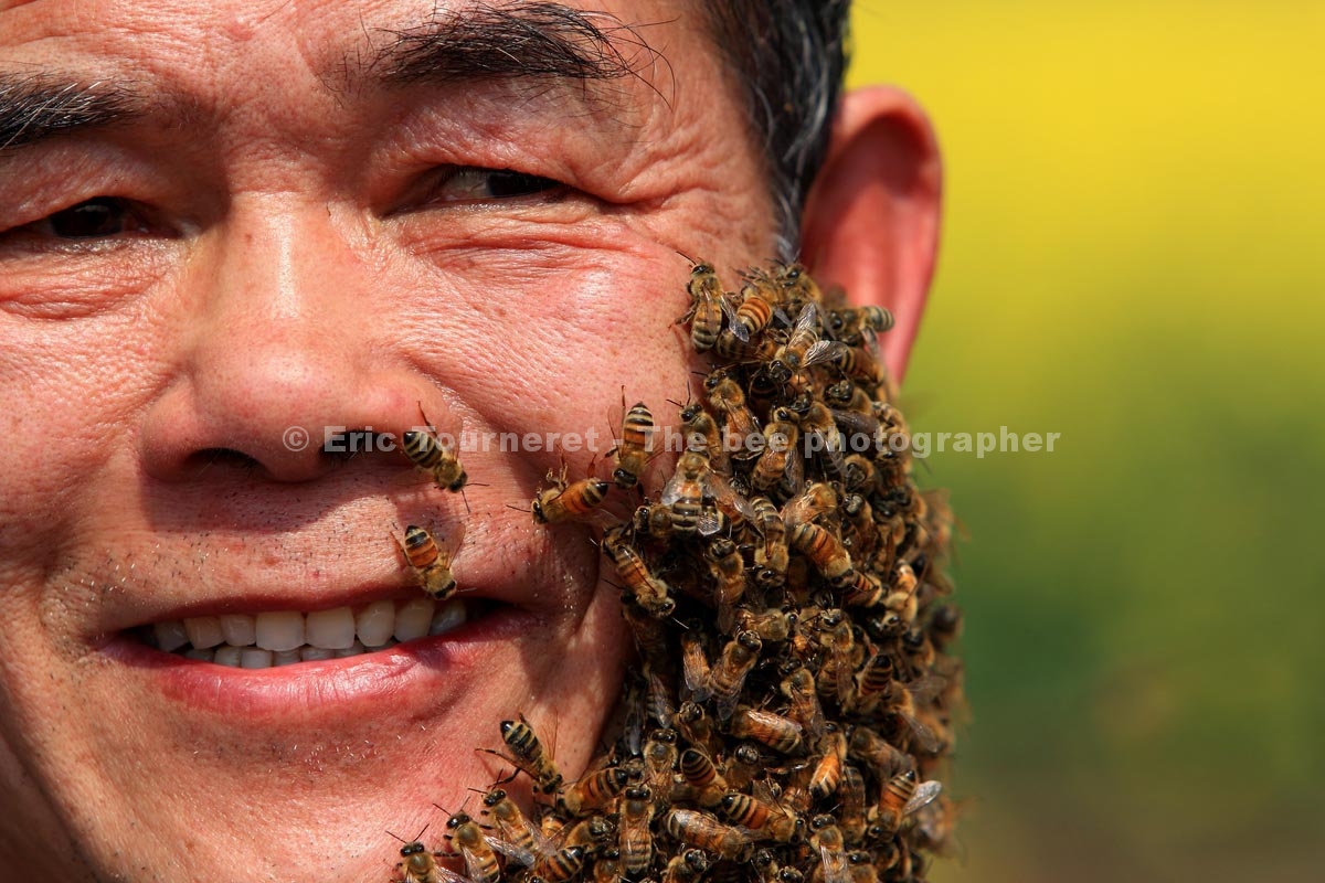 Chine : la plus grande fête d’apiculture du monde
